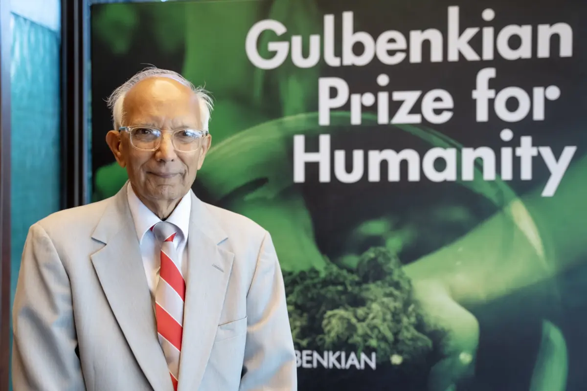 Imagem de contexto do artigo "Estamos a destruir a natureza, a criação de Deus. Ninguém tem o direito de o fazer"