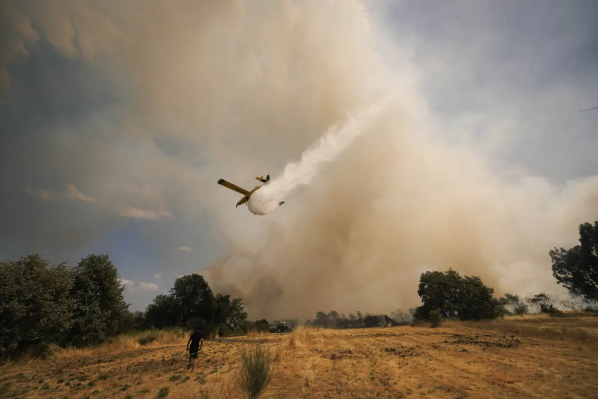 Imagem de contexto do artigo Chamas dominadas em Trancoso e Moimenta da Beira, incêndios em Ribeira de Pena e Sirarelhos ainda estão ativos