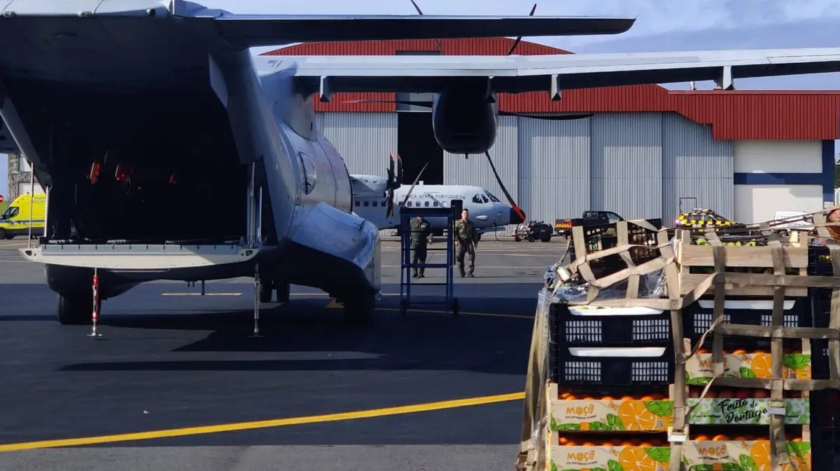 Imagem de contexto do artigo Temporal: Força Aérea transporta bens de primeira necessidade para as Flores