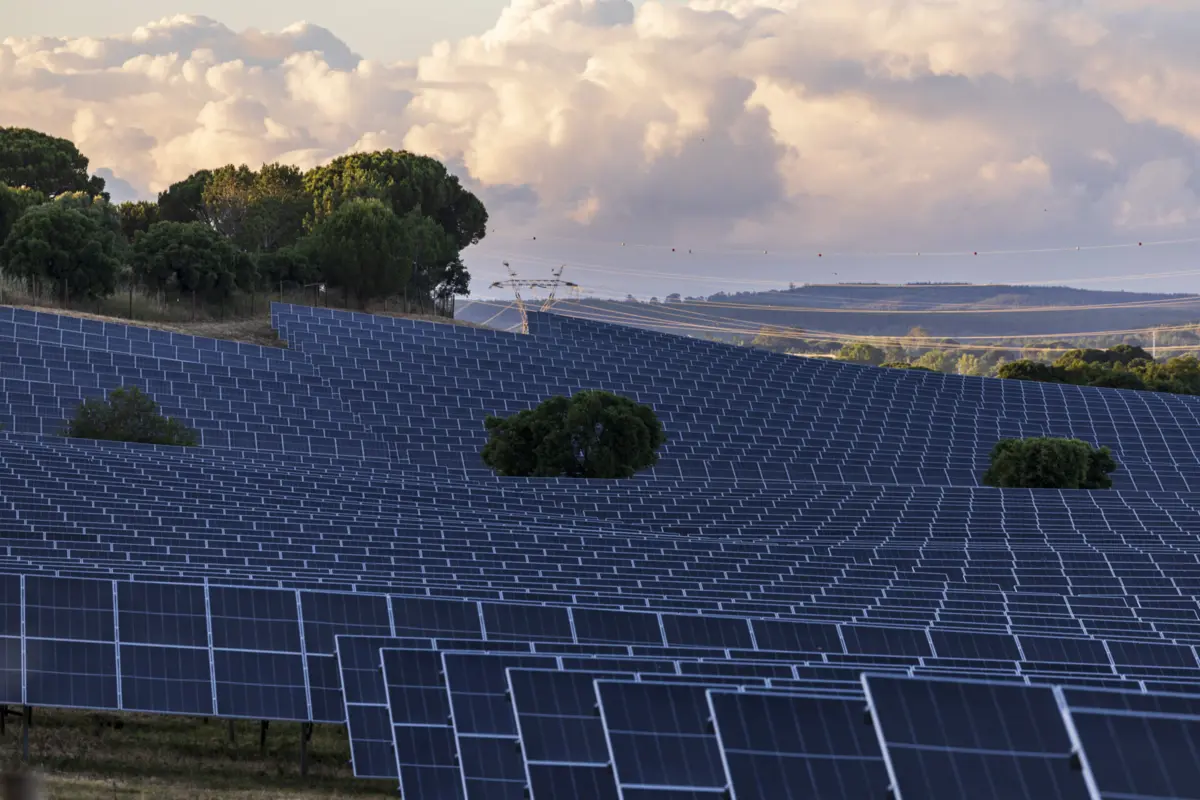 Imagem de contexto do artigo Mais de 2,5 mil milhões de euros do OE para Ambiente e Energia