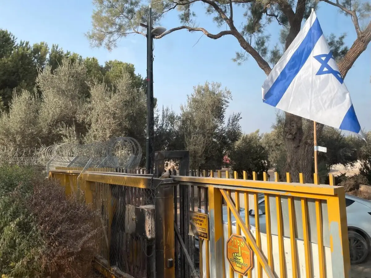 Imagem de contexto do artigo Momentos em família substituídos por discussões sobre "usar um ou dois sacos para cadáveres"