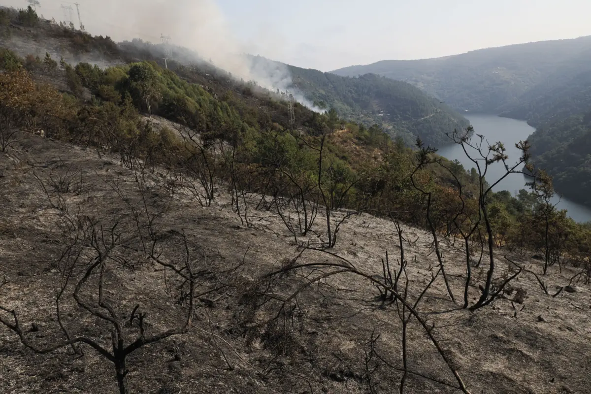 Imagem de contexto do artigo "Pior já passou." Há 17 incêndios ativos em Espanha, mas apenas um evolui de forma desfavorável