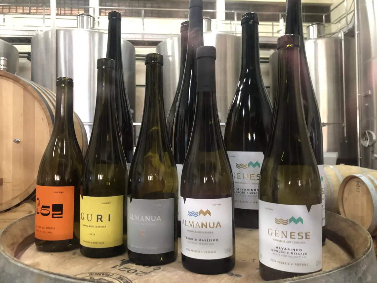 Imagem de contexto do artigo Vinevinu com Génese e Almanua da montanha ao mar