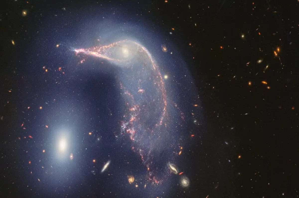 Imagem de contexto do artigo Pinguim e Ovo: telescópio espacial Webb capta duas galáxias entrelaçadas