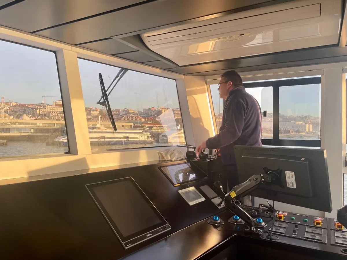 Imagem de contexto do artigo O mestre que podia ser padrinho de um golfinho do Tejo: "Tive de sair dali para não incomodar os animais"