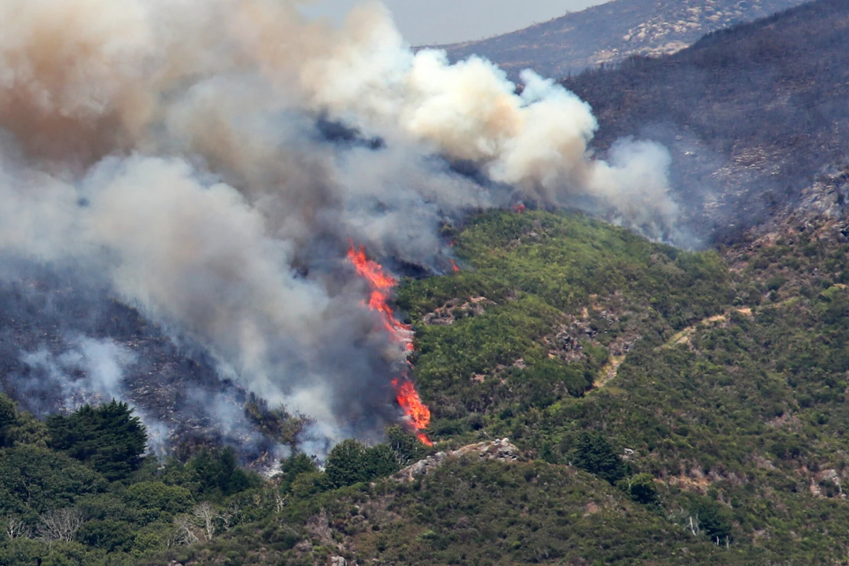 Imagem de contexto do artigo Incêndio na Madeira. Câmara do Funchal apela à população para poupar água