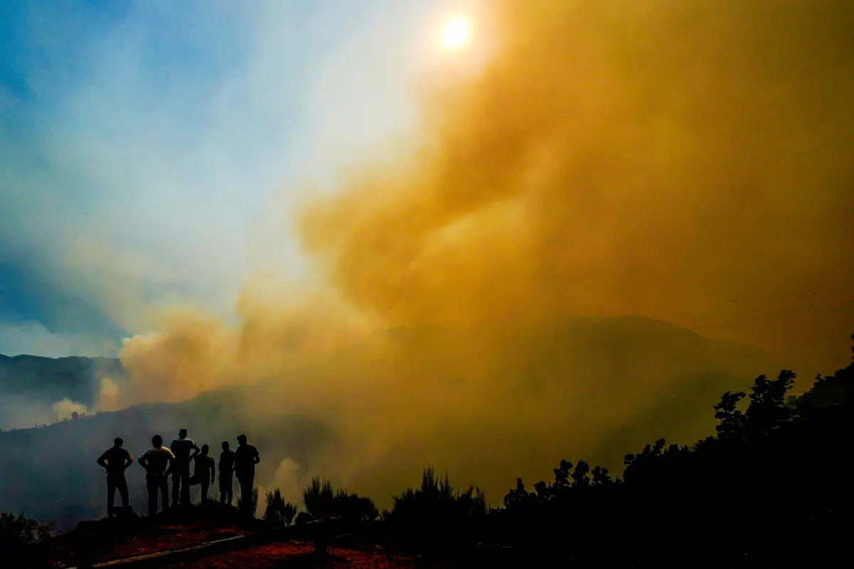 Imagem de contexto do artigo Despesa do sistema de gestão de fogos rurais 25% abaixo do previsto entre 2020 e 2024