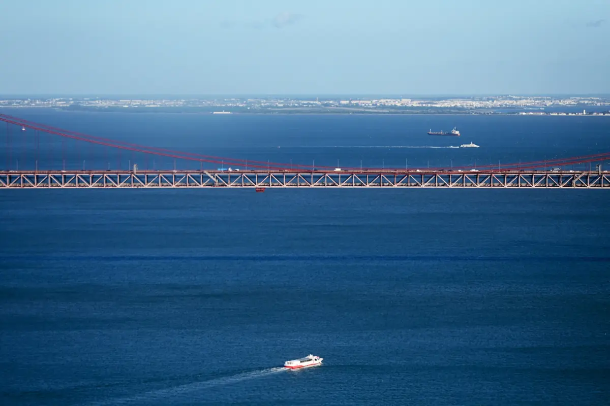 Imagem de contexto do artigo Peixe-gato-europeu põe em risco espécies nativas no rio Tejo. Pescadores podem fazer parte da solução