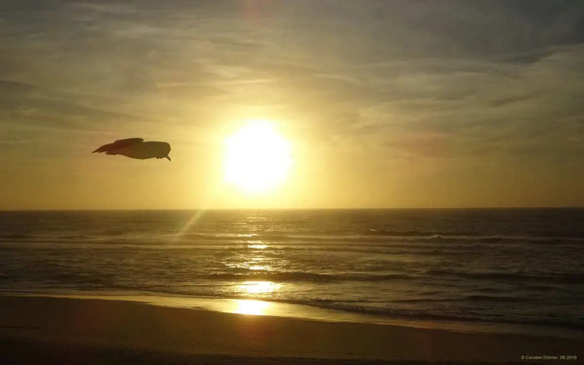 Imagem de contexto do artigo Praia da Vieira interdita a banhos