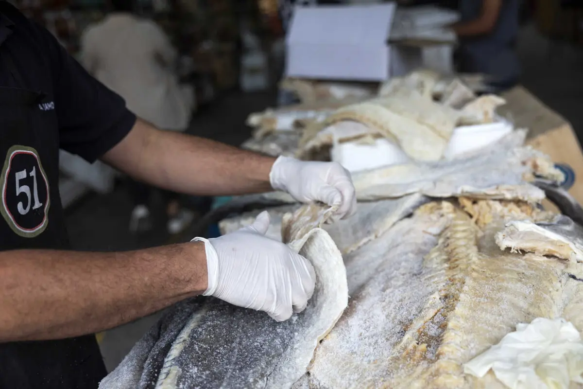 Imagem de contexto do artigo Azeite, peru ou bacalhau. Cabaz de Natal está mais caro este ano e custa quase 53 euros