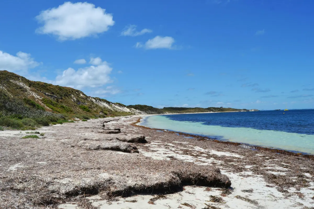 A causa do acidente ainda não é conhecida