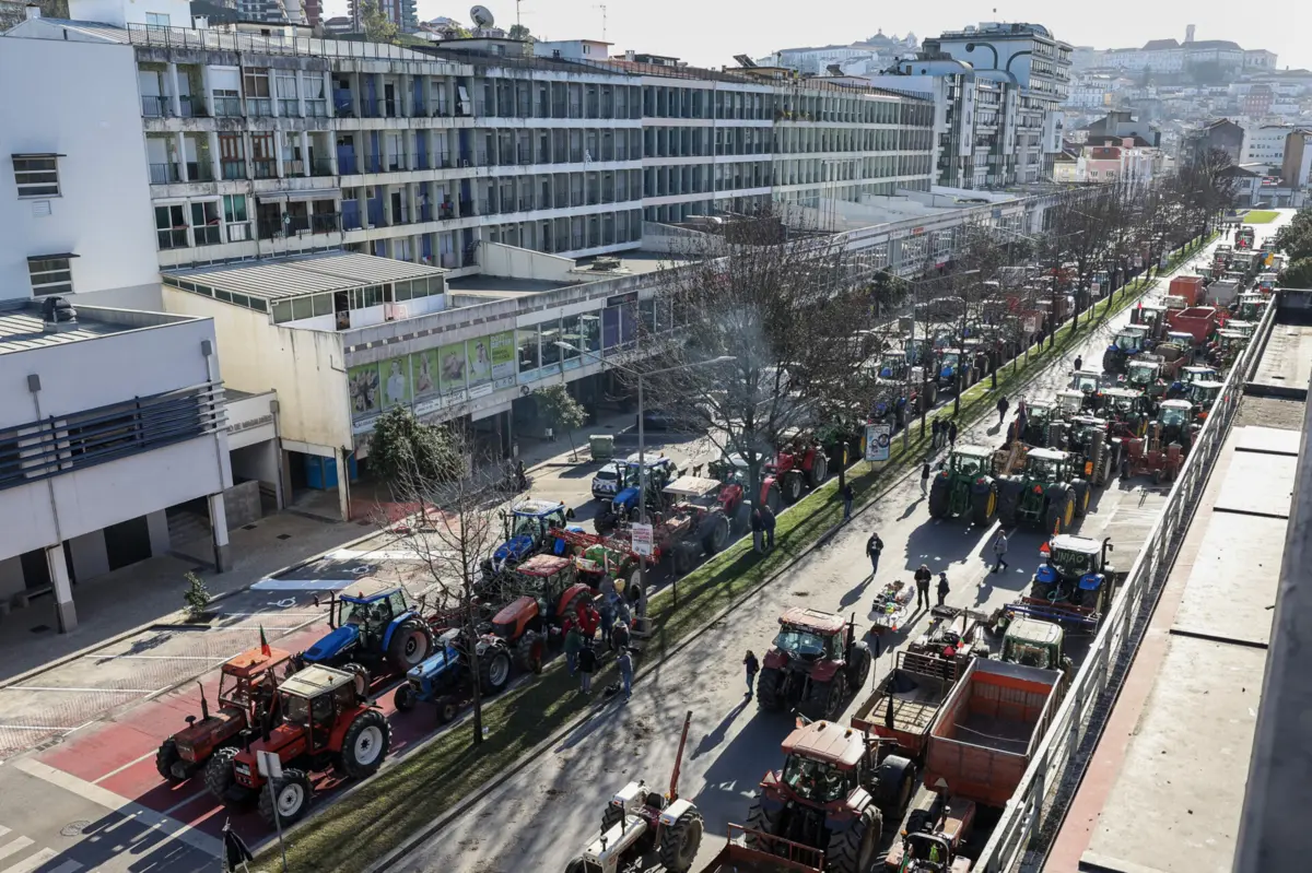 Imagem de contexto do artigo Produtores do Baixo Mondego reúnem-se com Ministério da Agricultura esta sexta-feira