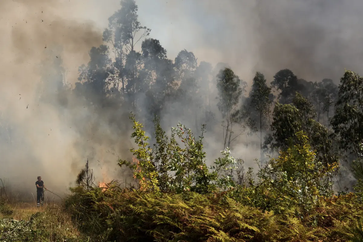 Imagem de contexto do artigo Greenpeace: "Únicas partes da Europa que não estão a ser cozidas pelo calor estão a ser levadas pelas inundações"