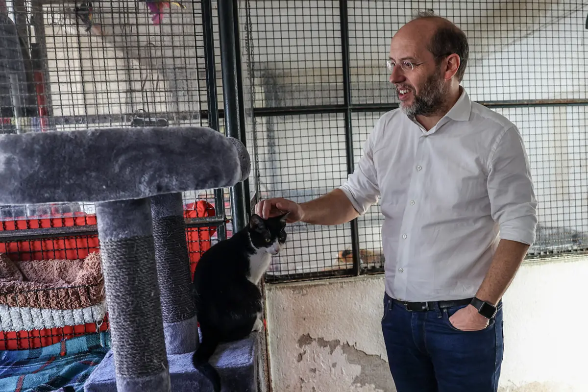 Imagem de contexto do artigo Rui Tavares disponível para "alterar hora, dia ou local" para que Montenegro compareça ao debate