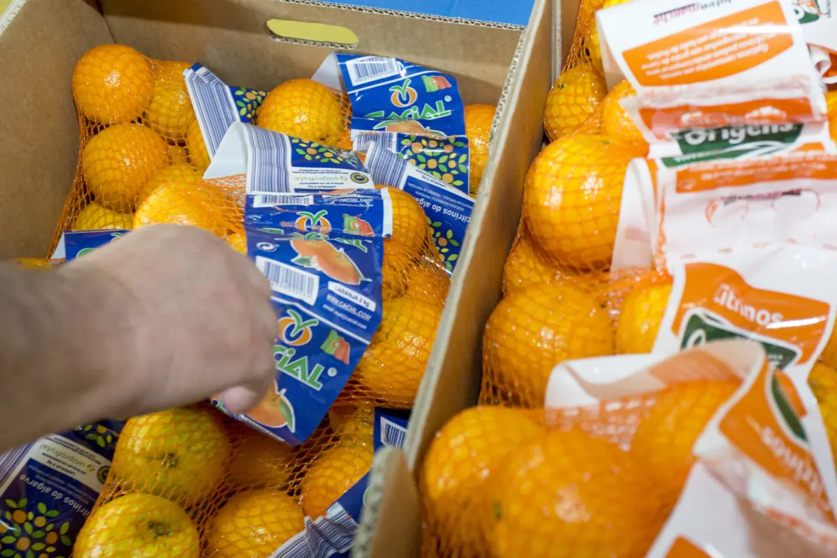 Esta proposta foi feita em conjunto com as associações de agricultores