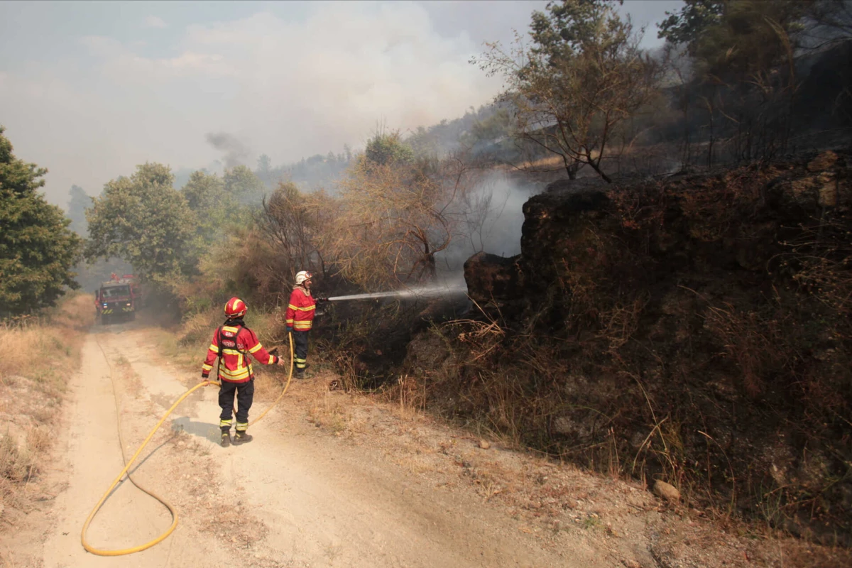 Imagem de contexto do artigo Calor: mais de 40 concelhos em perigo máximo de incêndio, oito distritos sob aviso amarelo
