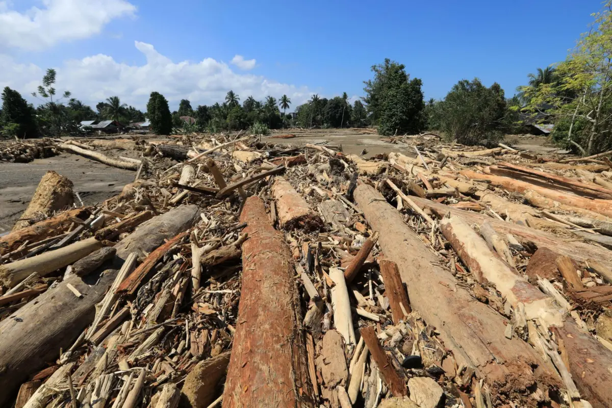 Imagem de contexto do artigo Pelo menos mil mortos e mais de 800 desaparecidos em inundações na Indonésia, Sri Lanka e Tailândia