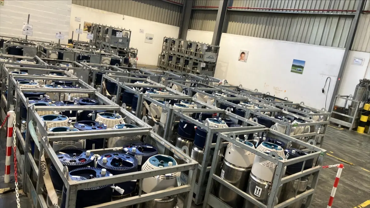 Imagem de contexto do artigo Leiria: abastecimento de oxigénio e ventiladores atinge 200% do consumo semanal em três dias