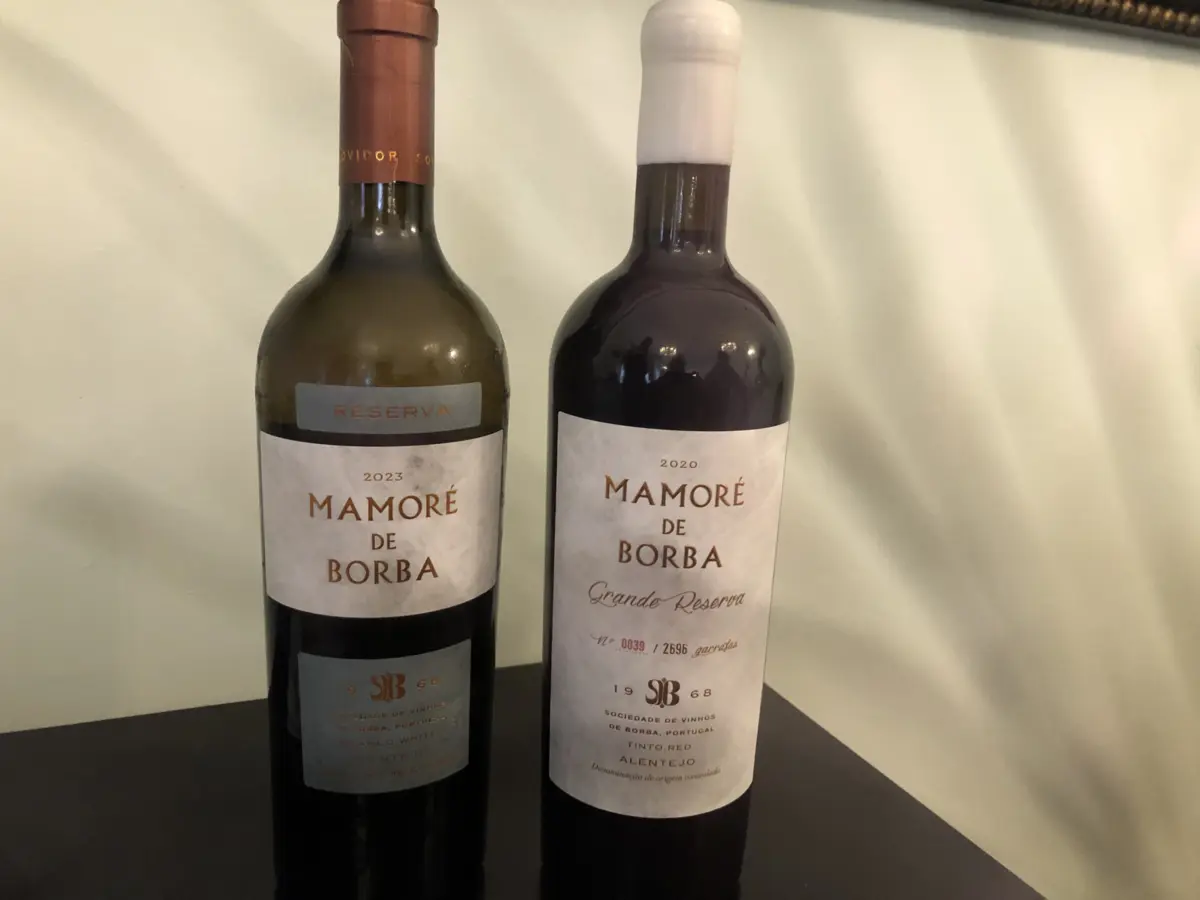 Imagem de contexto do artigo Mamoré de Borba de topo nos dez anos do projeto Sovibor