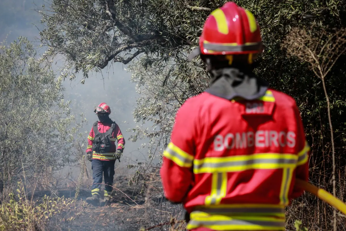 Imagem de contexto do artigo Mais de 120 operacionais combatem fogo em Aljustrel. A2 reaberta nos dois sentidos