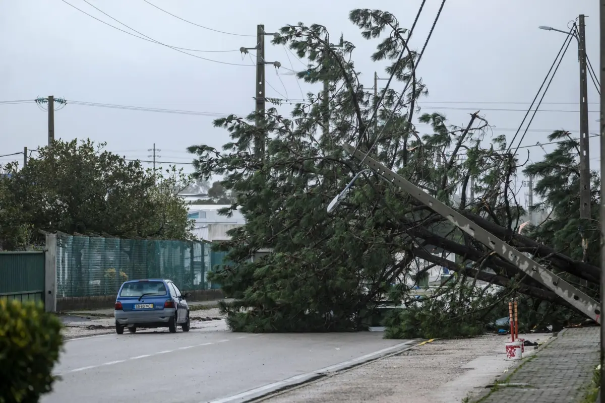 Imagem de contexto do artigo Jovens "fartos" da falta de internet, enquanto há quem "não estranhe" recuar 60 anos para ir buscar água à fonte