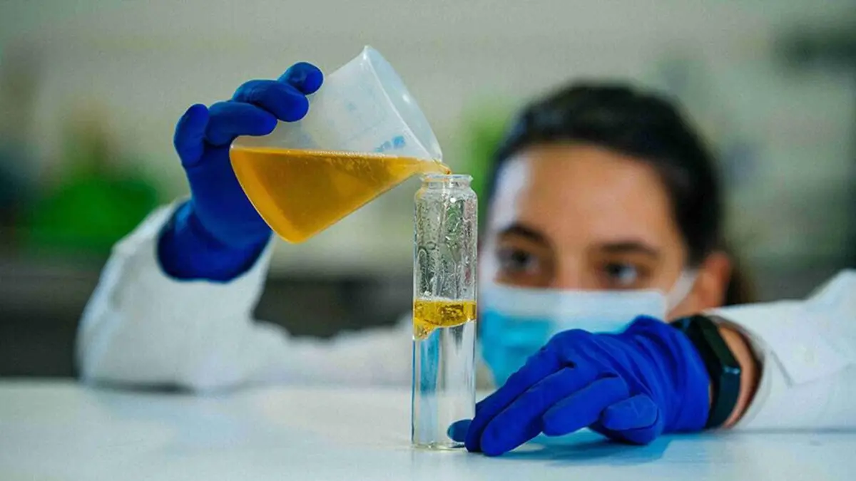 Imagem de contexto do artigo Portugueses transformam óleo alimentar em detergente biológico e poupam 19 mil toneladas de CO2 equivalente