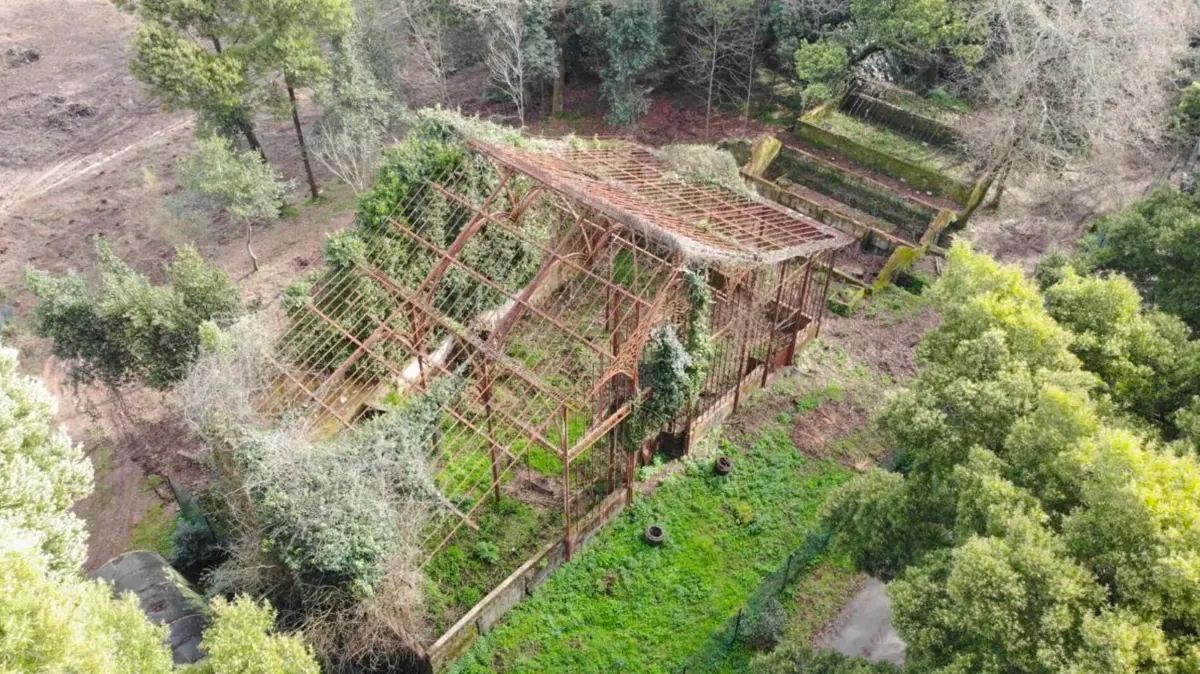 Imagem de contexto do artigo Uma estufa única em Portugal: estrutura de ferro fundido classificada como património cultural