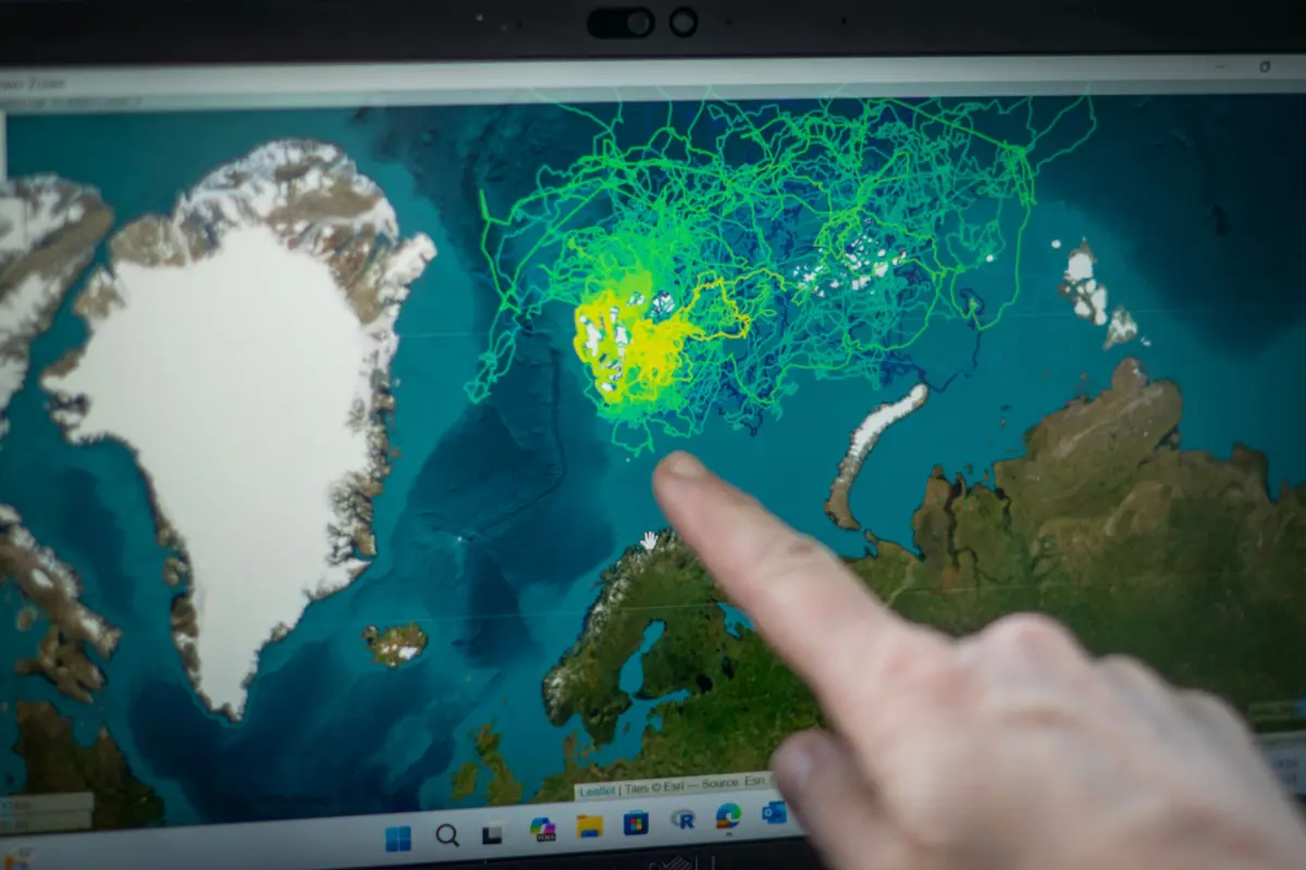 Imagem de contexto do artigo Agência Espacial Portuguesa vigia tempestade solar em curso. Cuidado com o GPS