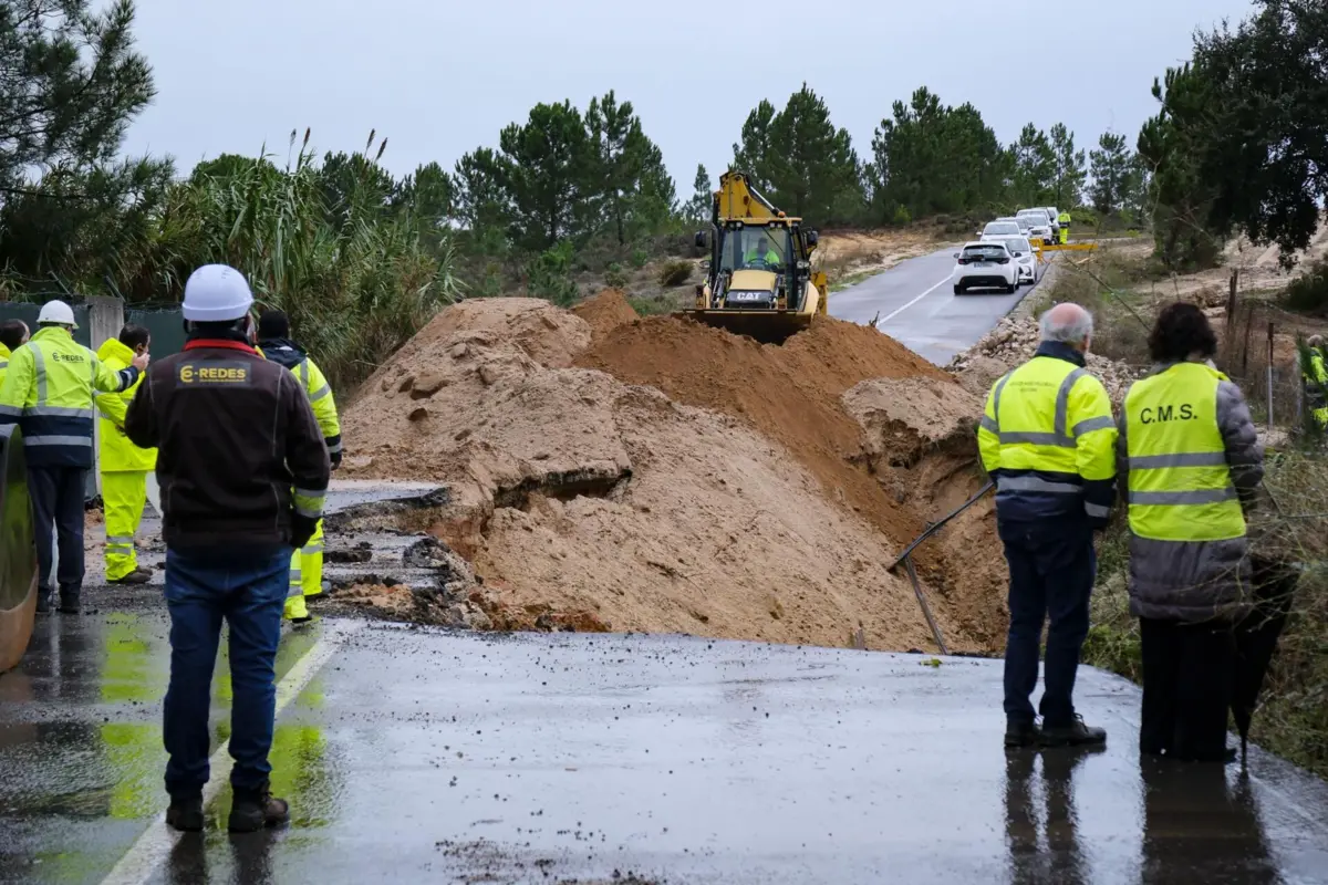 Imagem de contexto do artigo Queda de árvores e movimentos de massas: sobe para 250 o número de ocorrências na Madeira