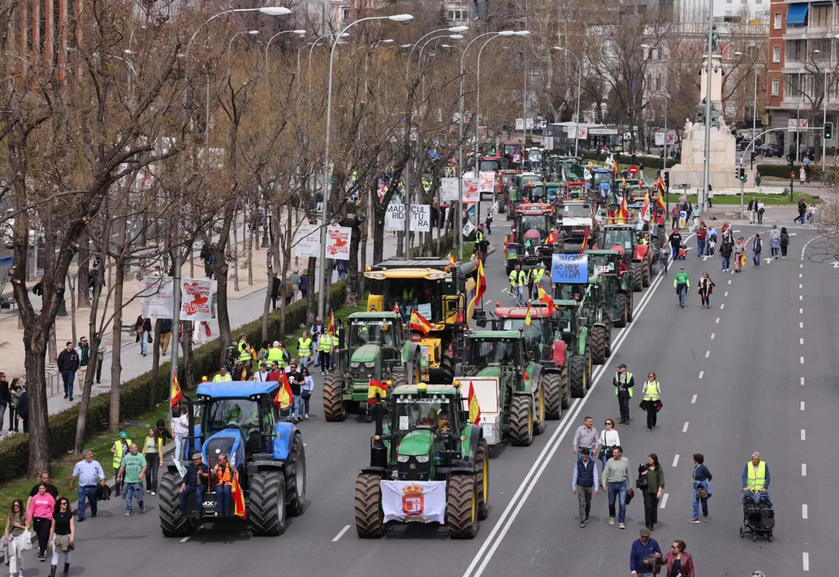 Imagem de contexto do artigo Centenas de pessoas e dezenas de tratores protestam no centro de Madrid