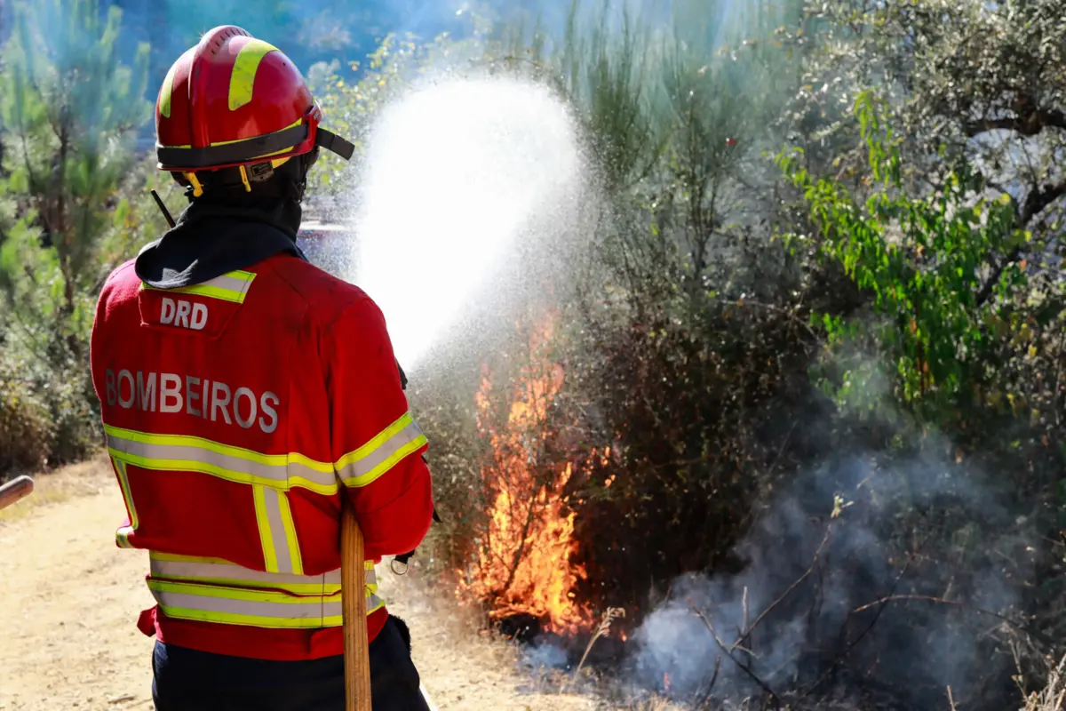 Imagem de contexto do artigo Incêndio em Penamacor obriga a evacuar zona norte da Aldeia de João Pires