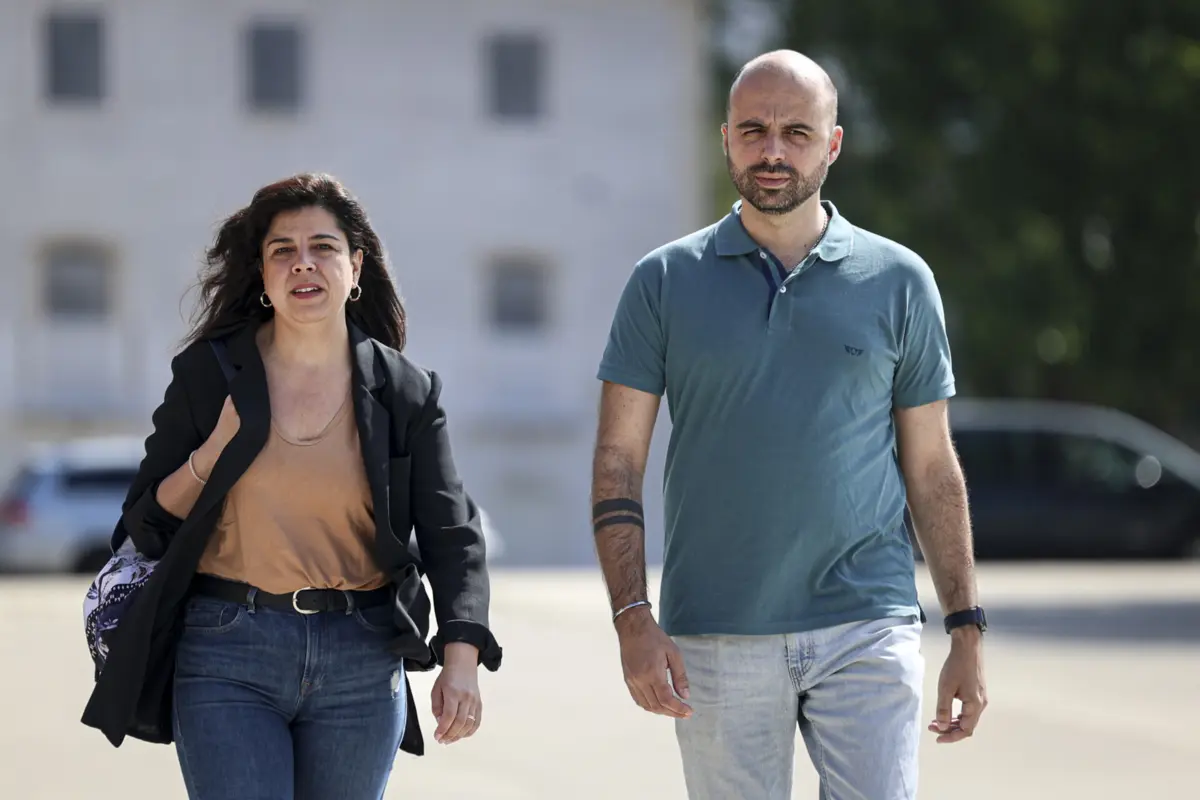 Imagem de contexto do artigo PAN quer fim dos espetáculos com golfinhos e colocação dos animais em santuários marinhos