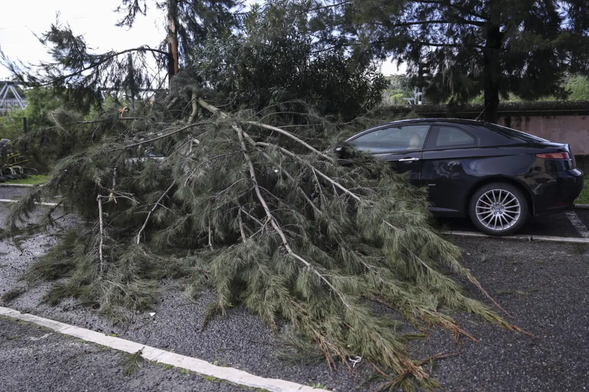 Estes são dados da Autoridade Nacional de Emergência e Proteção Civil