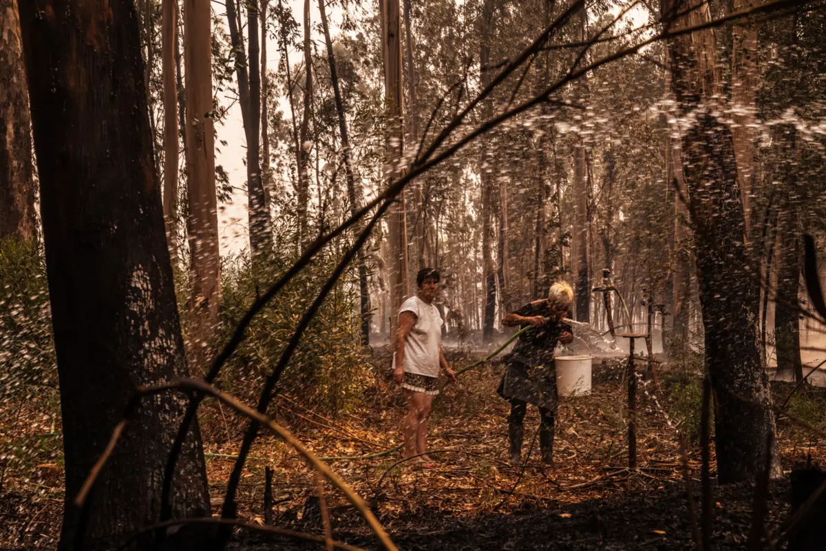 Imagem de contexto do artigo Incêndio que reativou em Sedielos, na Régua, em fase de resolução