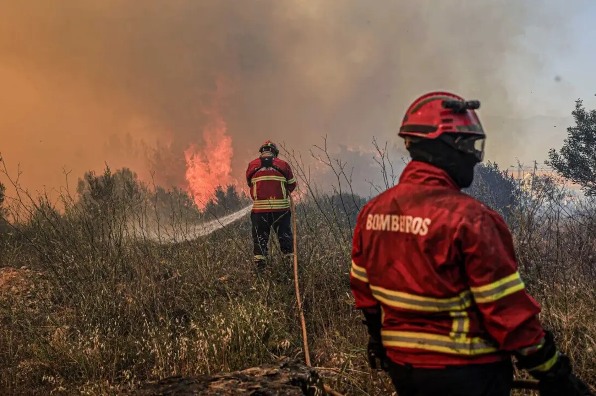 Imagem de contexto do artigo "Prejuízos são muito grandes." Incêndio em Trancoso consumiu oito mil hectares desde sábado