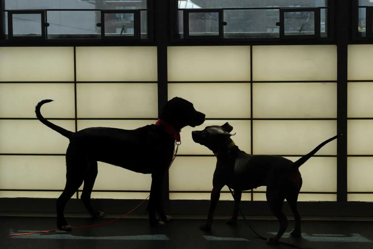 O ministro da Agricultura defende que existe "um trabalho enorme a fazer"