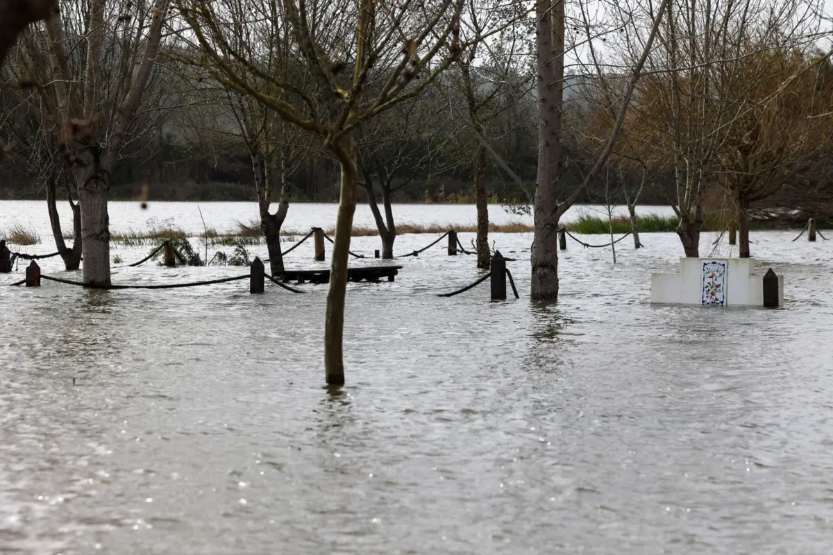 Imagem de contexto do artigo Alcácer do Sal é dos casos mais preocupantes na gestão de cheias. Saiba quais as zonas de elevado risco de inundações
