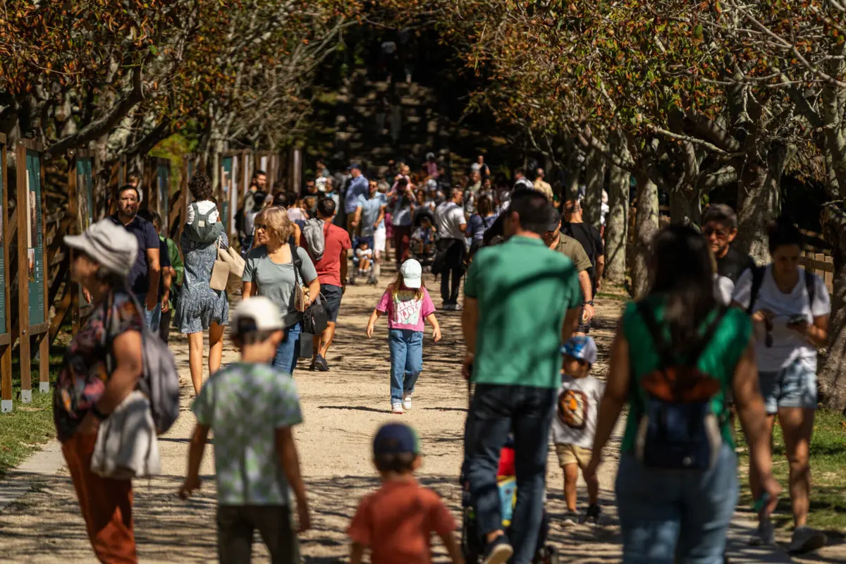 Imagem de contexto do artigo Música, teatro e mercados biológicos: a festa de outono vai invadir Serralves