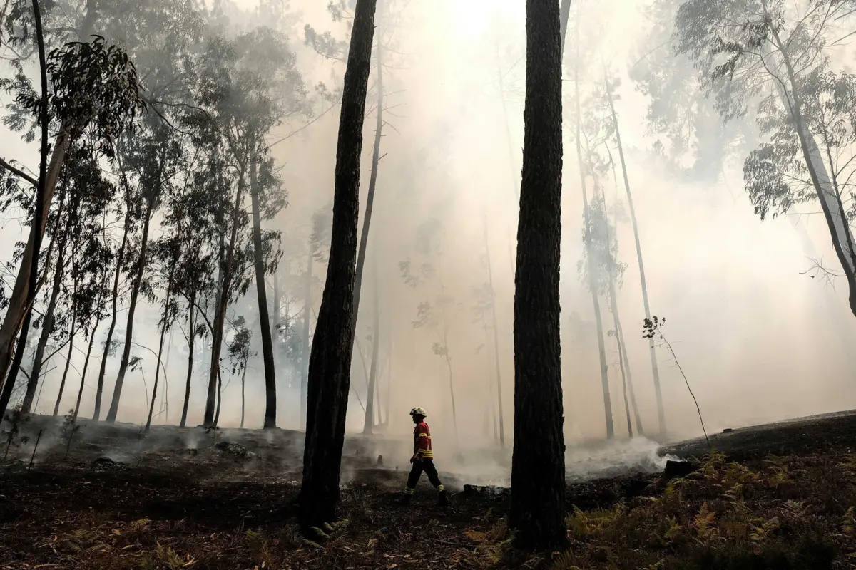 Não existem habitações em risco