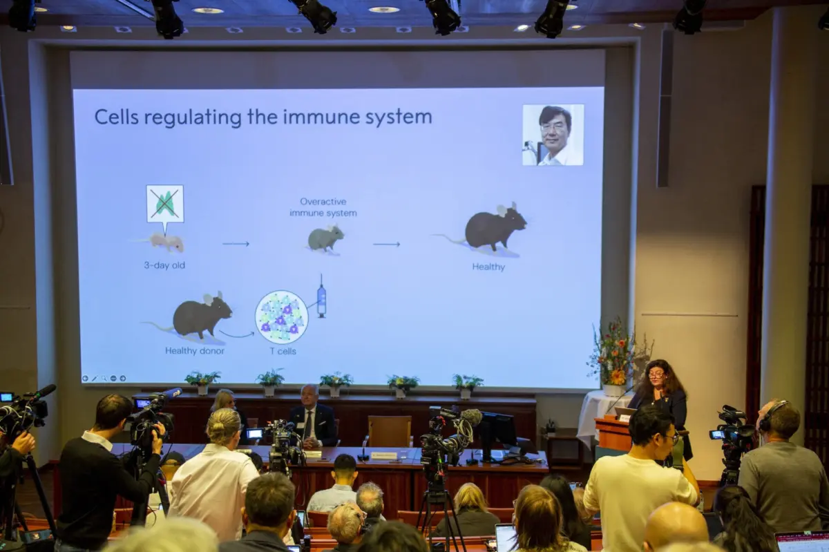 Imagem de contexto do artigo Nobel da Medicina traz "perspetivas reais" de novos tratamentos para doenças incuráveis