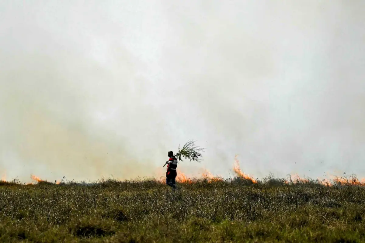 Imagem de contexto do artigo Onda de calor mata pelo menos 14 pessoas num único dia na Índia