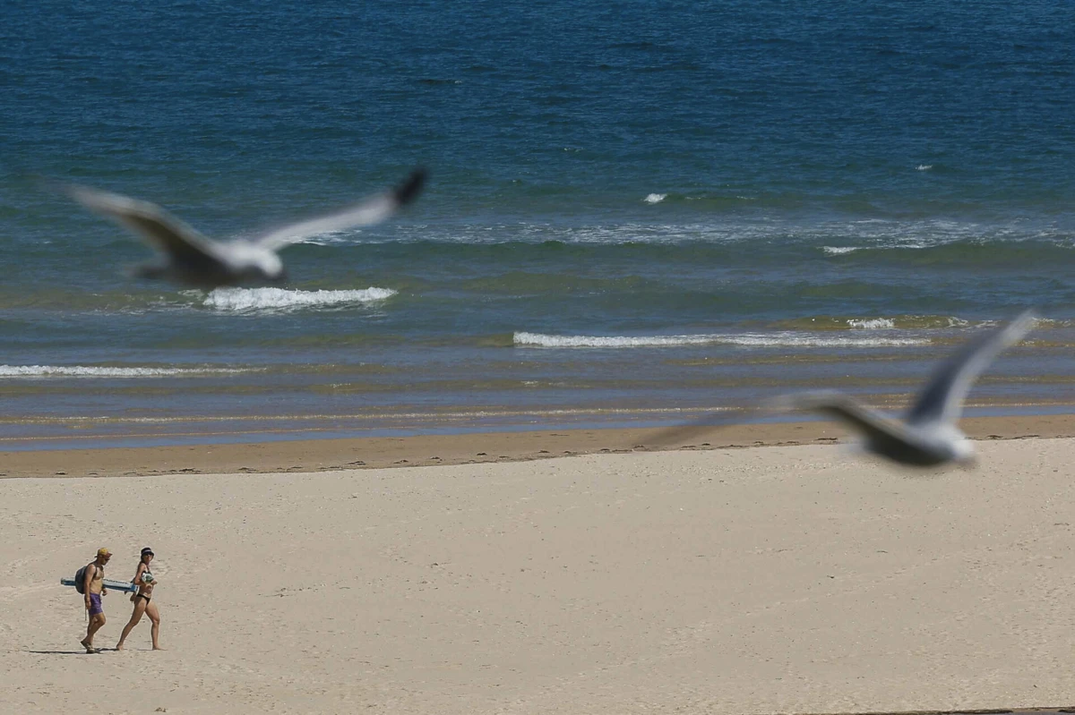 Das 81 praias identificadas, 55 localizam-se no continente, 20 nos Açores e seis na Madeira