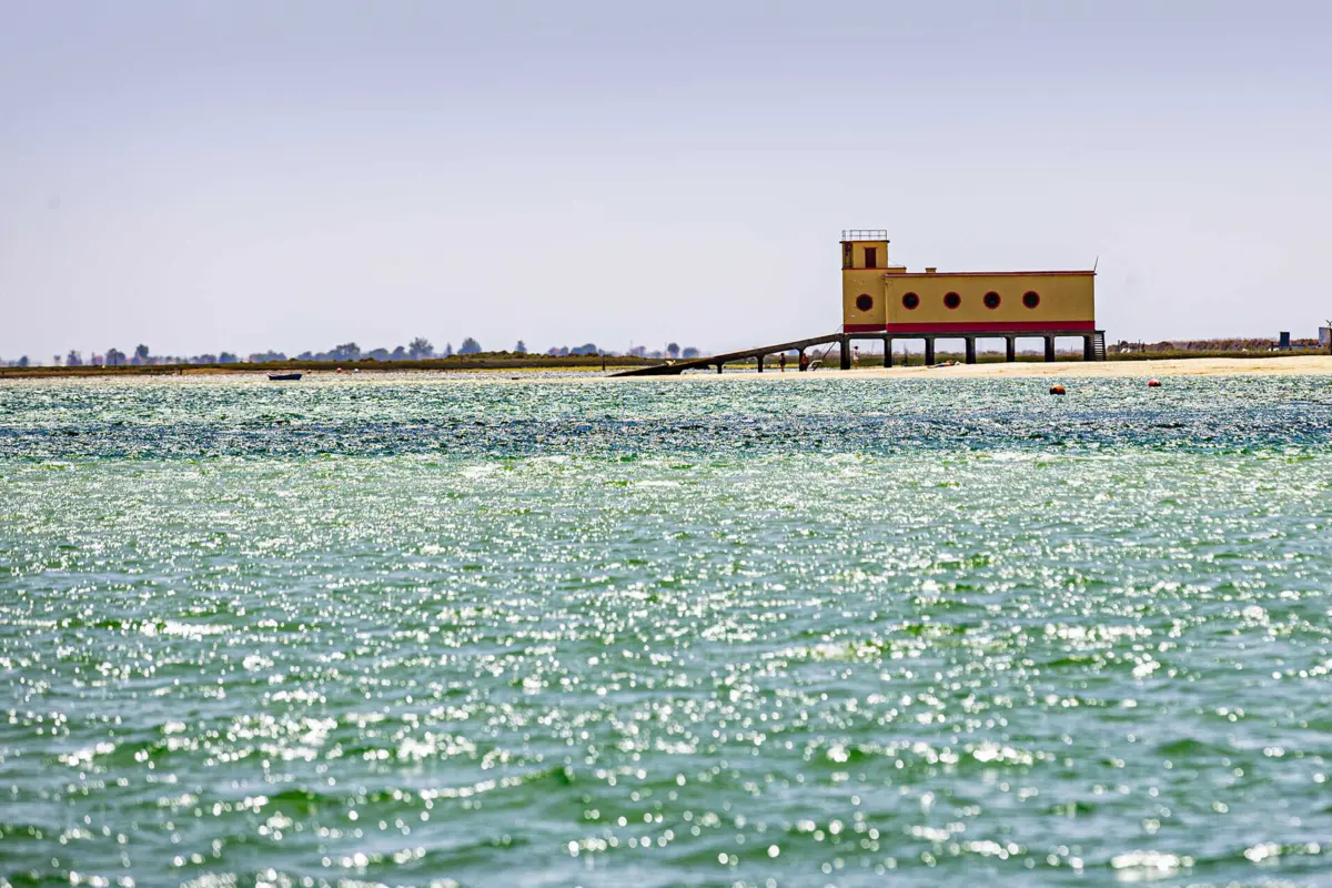 Imagem de contexto do artigo Algarve: banhos proibidos na praia da Fuseta-Ria