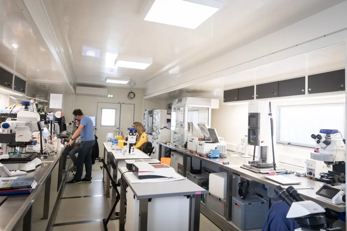 Imagem de contexto do artigo Com contratos a terminar, muitos investigadores poderão ir para o desemprego