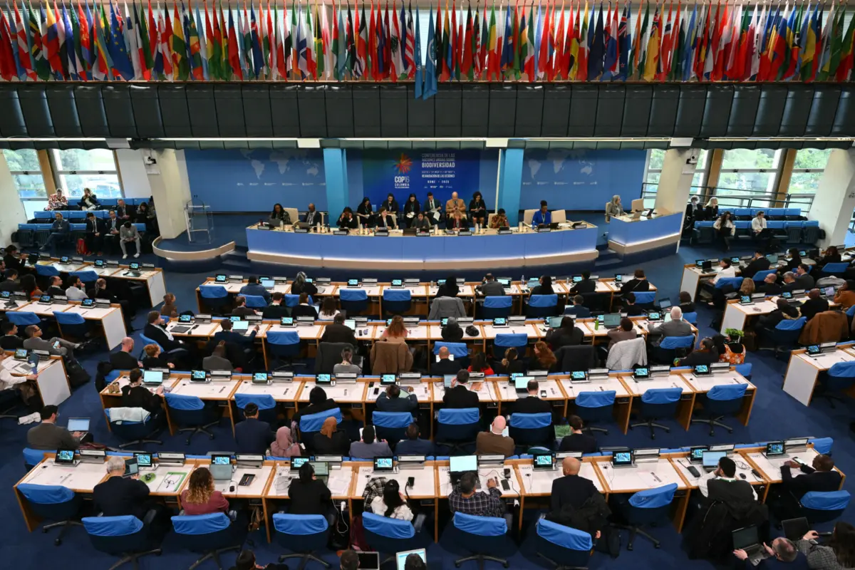 Imagem de contexto do artigo "Hora da diplomacia" na COP16. "Posições muito rígidas" podem inviabilizar acordo sobre biodiversidade