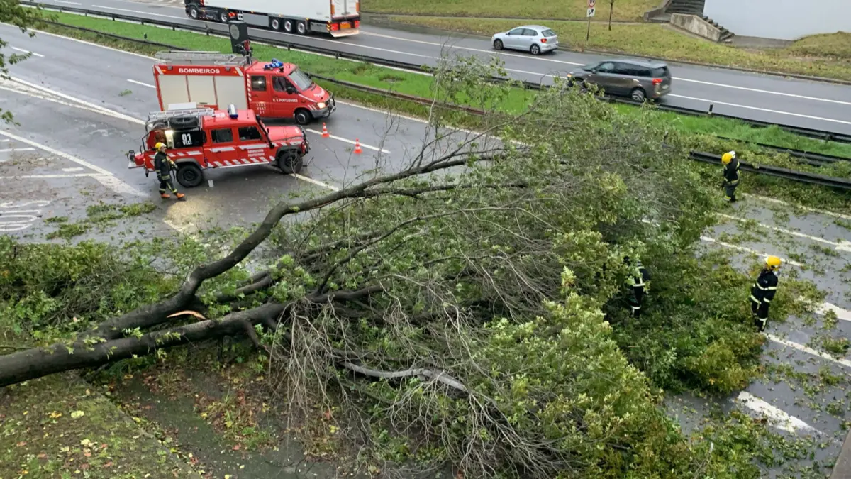 Para o local, foram mobilizados seis operacionais, apoiados por duas viaturas