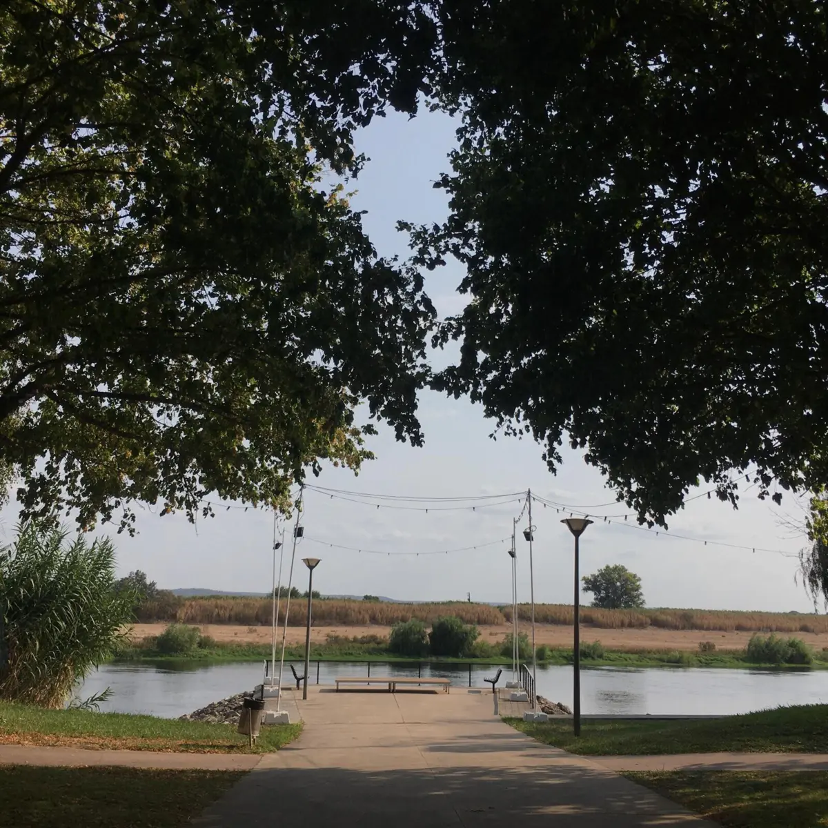 Imagem de contexto do artigo Reportagem TSF Rua do Tejo. Vila Nova da Barquinha, onde os peixes sabem nadar