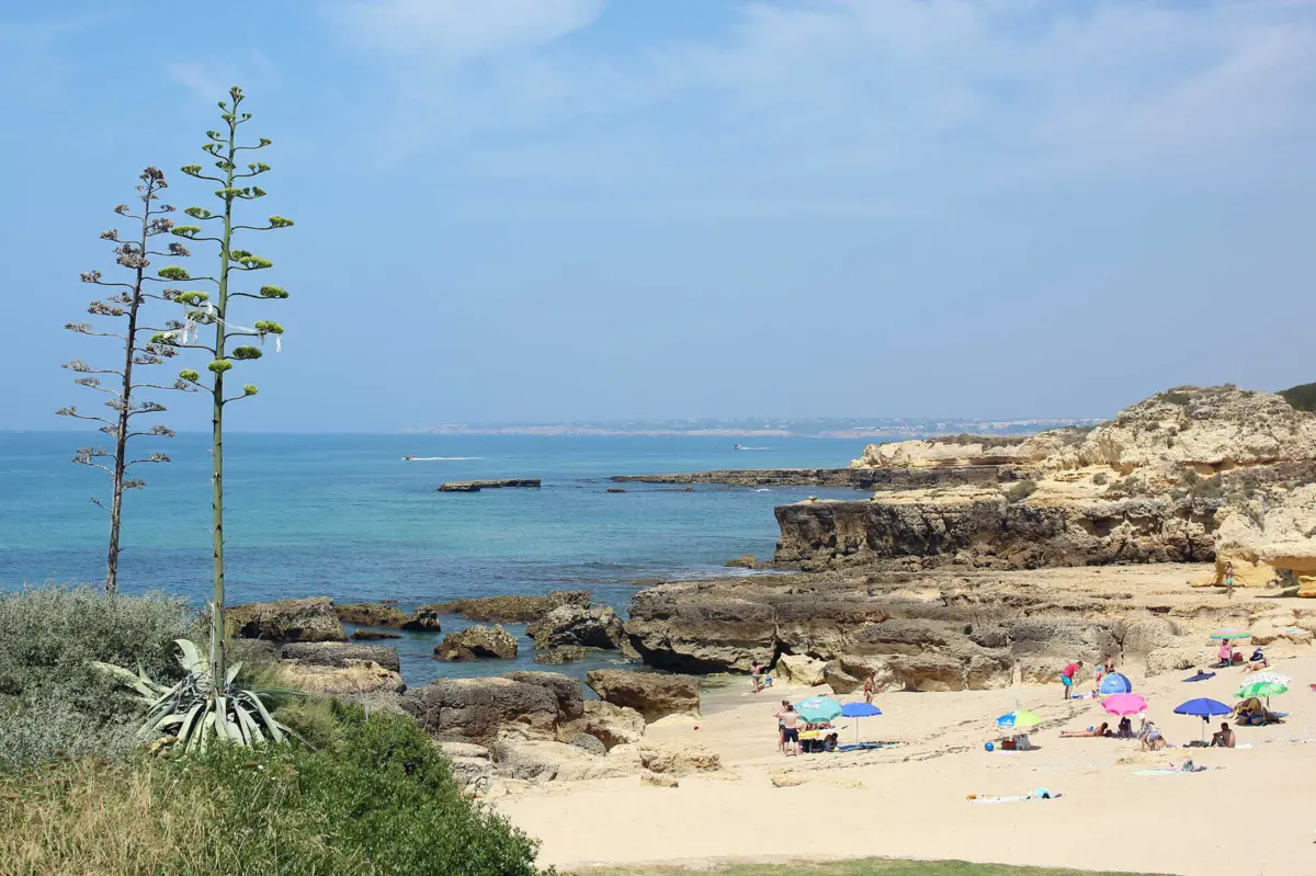 Imagem de contexto do artigo À semelhança da Comporta, praias algarvias vão ser fiscalizadas a partir da próxima semana