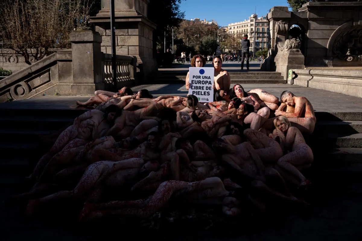 Imagem de contexto do artigo Ativistas despem-se em Barcelona para exigir proibição de peles na Europa