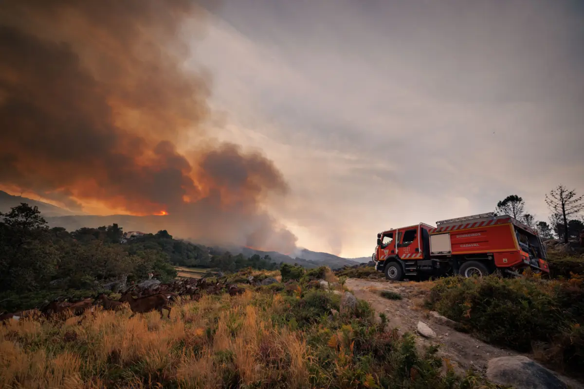 Imagem de contexto do artigo Dominado incêndio em Ribeira de Pena: chamas consumiram 700 hectares